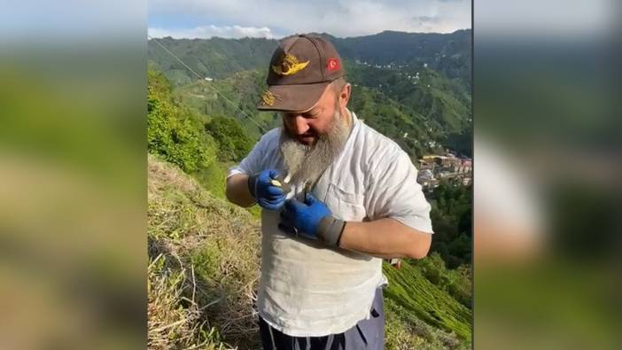 Rize'de Çiftçi, Yakaladığı Yılanı Boynuna Doladı