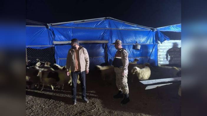 Kilis'te Kaybolan 25 Küçükbaş Hayvan Bulundu