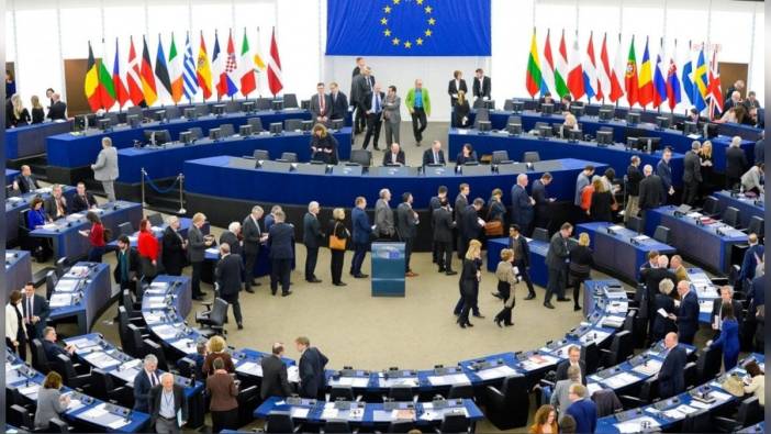 Avrupa Parlamentosu Türkiye Raporu: Öcalan'ın Çağrısı ve Kopenhag Kriterleri