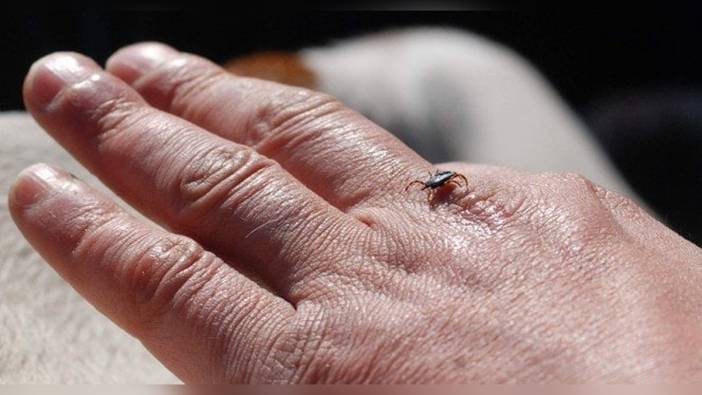 Erzurum'da KKKA uyarısı: Uzmanlardan önemli açıklamalar