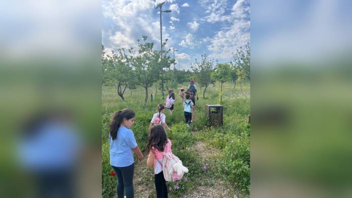 İzmir'de çocuklar için ormanda keşif ve masal etkinliği