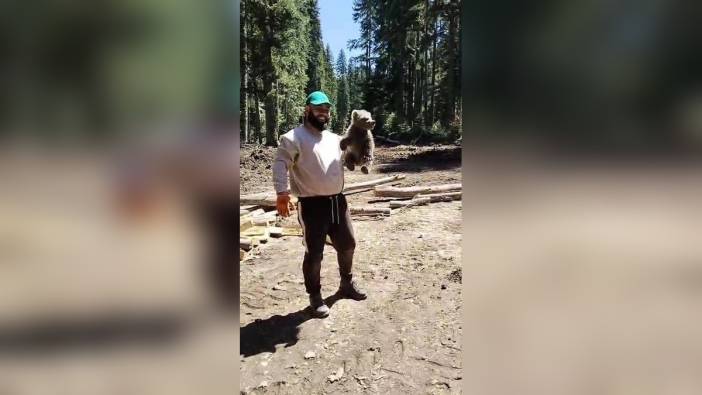 Karabük'te yavru ayı orman işçilerinin yanına geldi