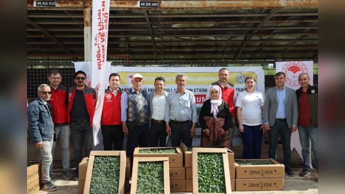 Muğla'da 'Ata Tohumu Projesi' başladı, 640 bin fide dağıtımı yapılacak