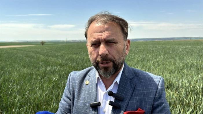 Trakya'da kuraklık tehlikesi: Rekolte düşüklüğü yüzde 80'e ulaşabilir