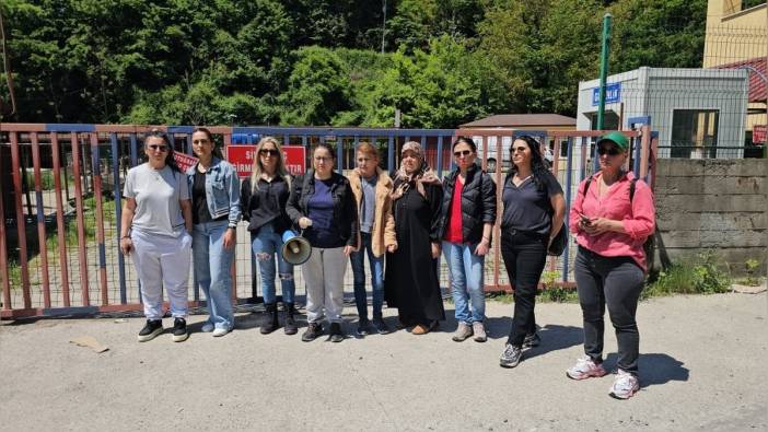 Zonguldak'ta belediye barınağındaki köpek uyutuldu, hayvanseverler tepki gösterdi