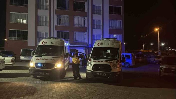 sivas'ta iki kardeş evlerinde ölü bulundu