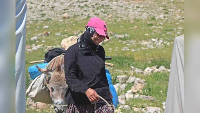 Erzincan'da göçerler zor şartlarda tulum peyniri üretimi yapıyor