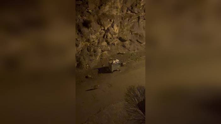 İspir'de kurt sürüsü çöp alanında yiyecek aradı