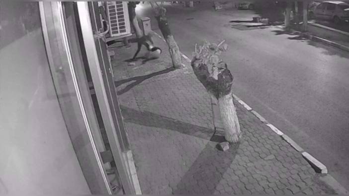 İzmir'de 17 yaşındaki Çağlar Efe D., Betül Ç.'yi bıçaklayıp soydu, 26 yıla kadar hapis istemi