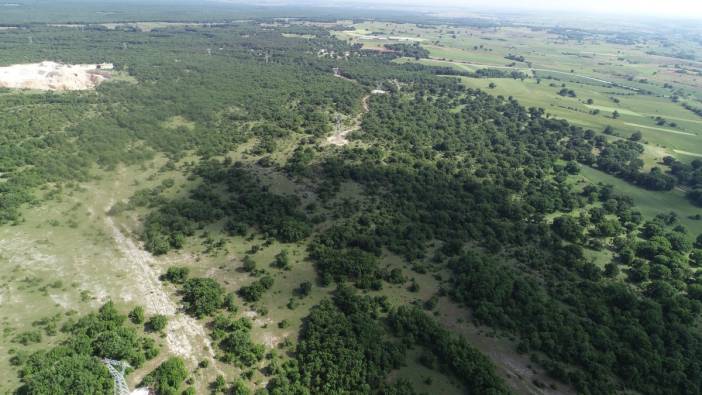 Valilik duyurdu! Bir ilde 177 gün ormanlara girişler yasaklandı