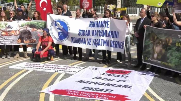 AYM, hayvan koruma kanunu değişikliğinin iptalini görüşüyor