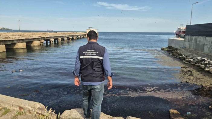 Süleymanpaşa sahilinde kızıl yosun ve alg patlaması: Deniz rengi değişti, ağır koku oluştu