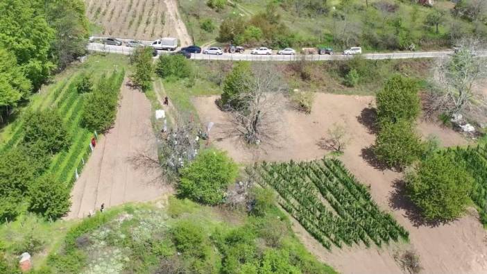 Osmangazi Belediyesi, Bağlı Mahallesi'nde ahududu yetiştiriciliği deneme üretimine başladı