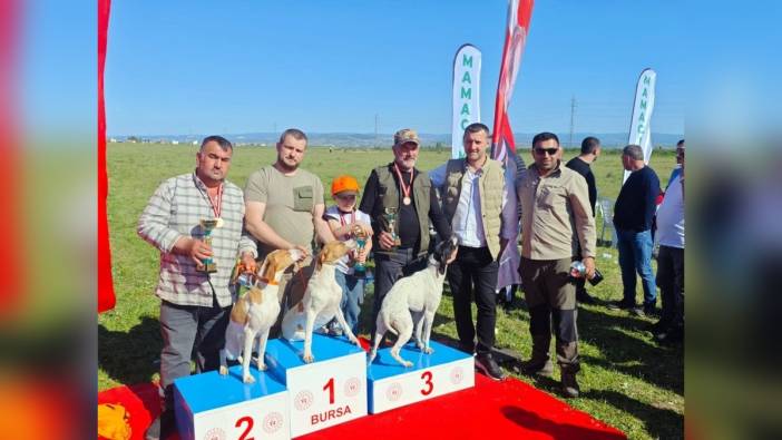 Yenişehir'de fermalı av köpekleri yarışması yoğun ilgiyle izlendi
