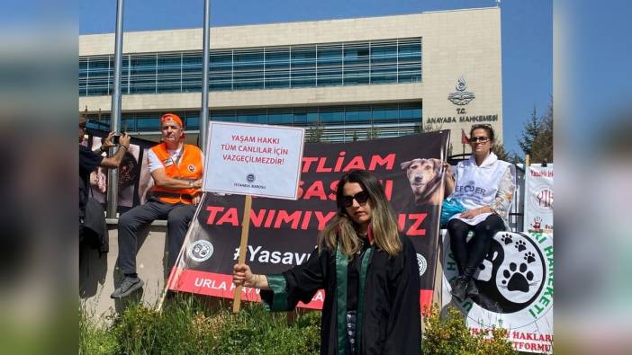AYM'de hayvan koruma kanunu görüşmeleri, hayvanseverler nöbet tutuyor
