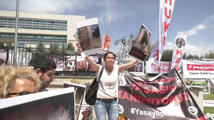 AYM önünde hayvan hakları protestosu