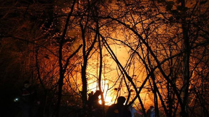 Karadeniz'de yangınlar sürüyor