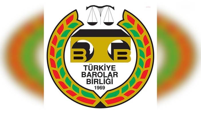 Yalçın: 7527 sayılı yasa hayvan düşmanlığını teşvik etti