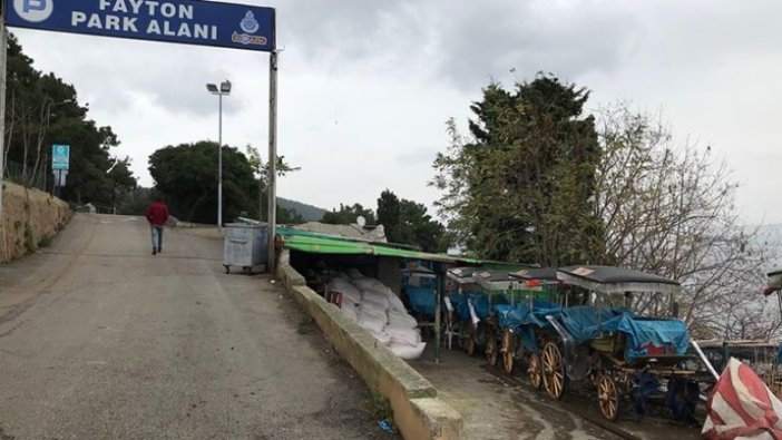 Adalar'da ruam hastalığı sağlık taraması yeniden başladı