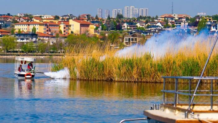 Gölbaşı Belediyesi, Mogan Gölü'nde sivrisinek ve kronomidlere karşı ilaçlama yaptı