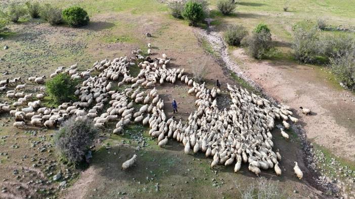 Tunceli'de 'Şafaklılar' 3 bin metre yükseklikteki yaylalara göç ediyor