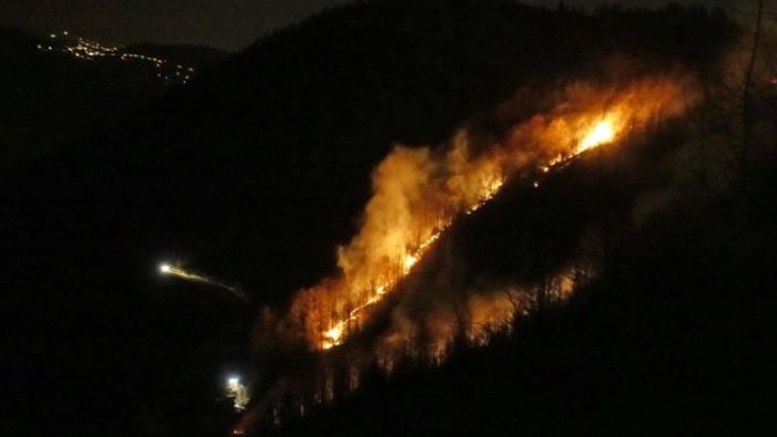 Trabzon'daki örtü yangınları tamamen söndürüldü