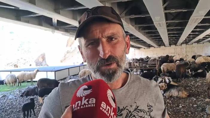 Artvin'de hayvancılık maliyetleri üreticiyi zorluyor