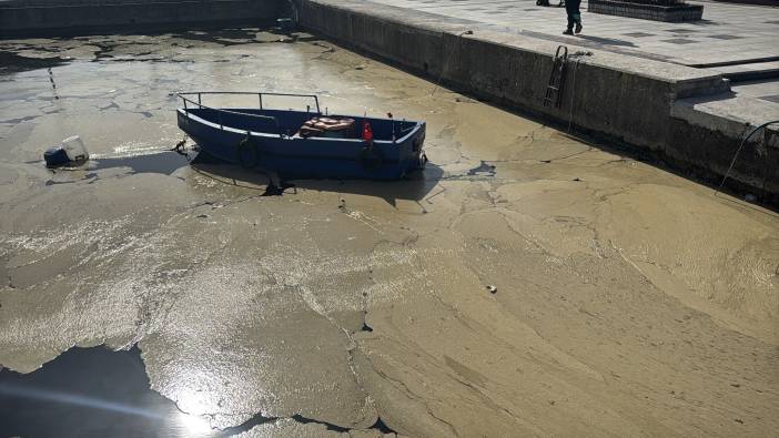 Örümcek ağı gibi Marmara Denizi'nin her tarafını sardı