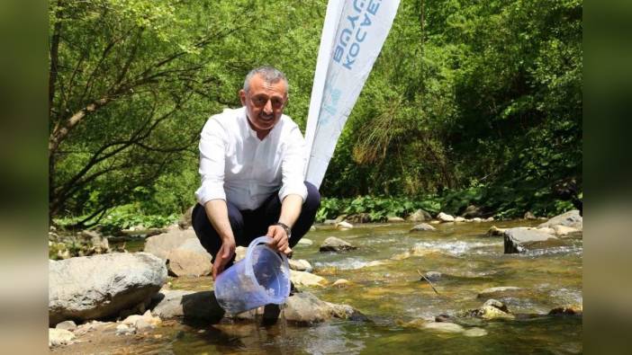 Kocaeli Büyükşehir Belediyesi, Kirazdere'ye 8 bin kırmızı benekli alabalık saldı