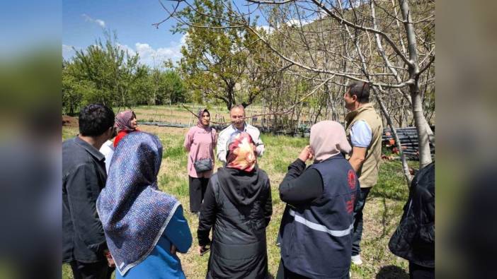 Erzincan'da zirai don hasar tespit çalışmaları sona eriyor