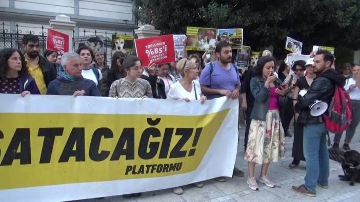 Hayvan hakları savunucularından Anayasa Mahkemesi kararına tepki: 'katliama onay'