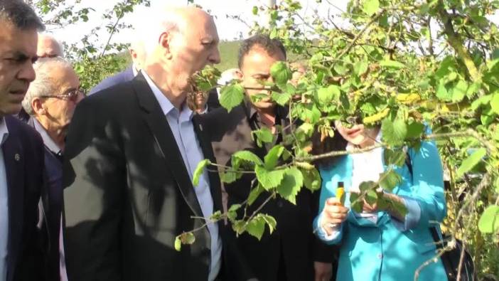 TZOB Başkanı Bayraktar: Akçakoca'da fındık bahçelerinde don zararı yüzde 50'nin üzerinde
