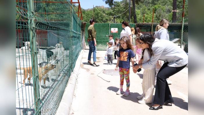 Marmaris'te kreş öğrencileri hayvan bakımevini ziyaret etti