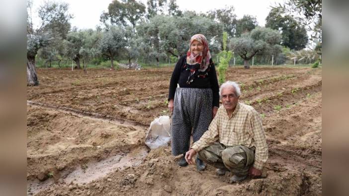 Aydın'ın Efeler ilçesinde çiftin bahçesinde huzurlu emeklilik