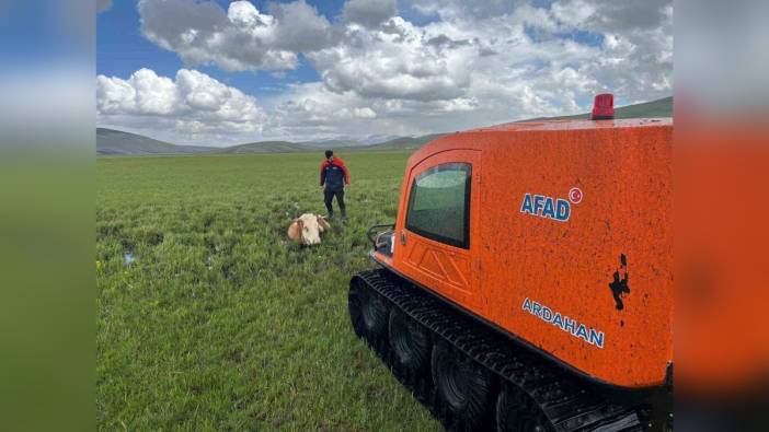 Ardahan'da bataklığa saplanan inek kurtarıldı