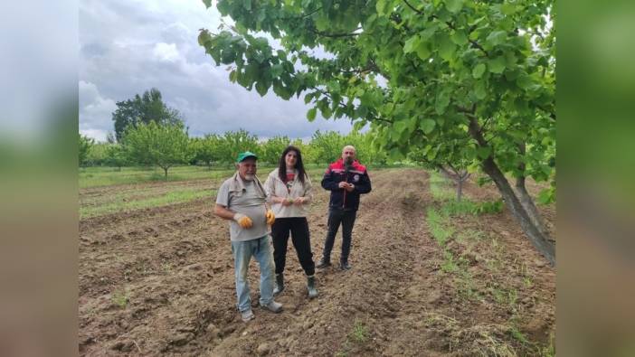 Erzincan'dan Iğdır'a Kayısı Hastalıkları Gözlemi