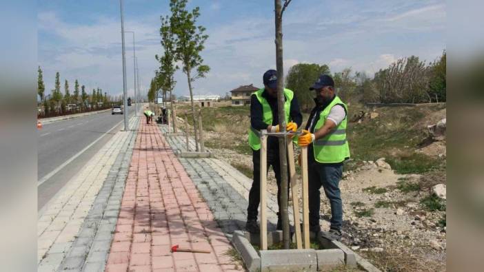 Van Büyükşehir Belediyesi Sahil Yolunda Temizlik ve Bakım Çalışması Yaptı
