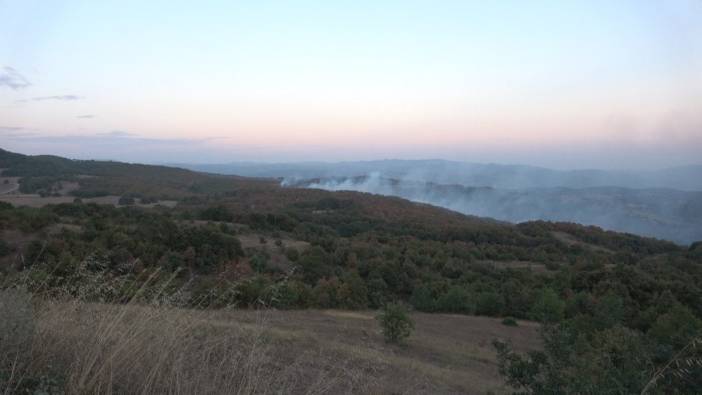 Kocaeli'nde 15 Mayıs-1 Kasım Arası Ormanlık Alanlara Giriş Yasak