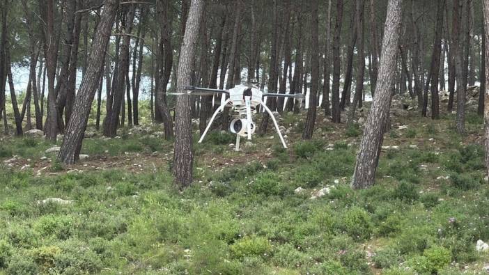 Bodrum'da Orman Yangını Önlemi: Termal Dronla Denetimler Başladı