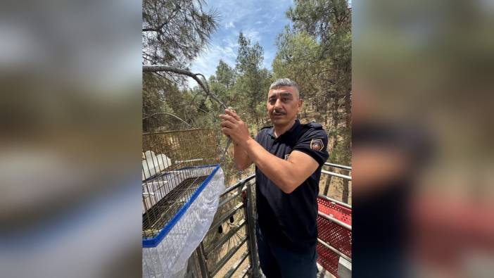 Hatay'da muhabbet kuşu itfaiye tarafından kurtarıldı