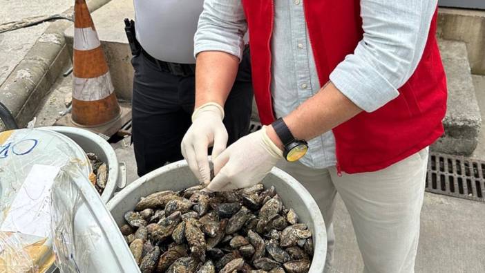 Otobüsün bagajında çöp kovasında taşınan 100 kilo midyeye el konuldu