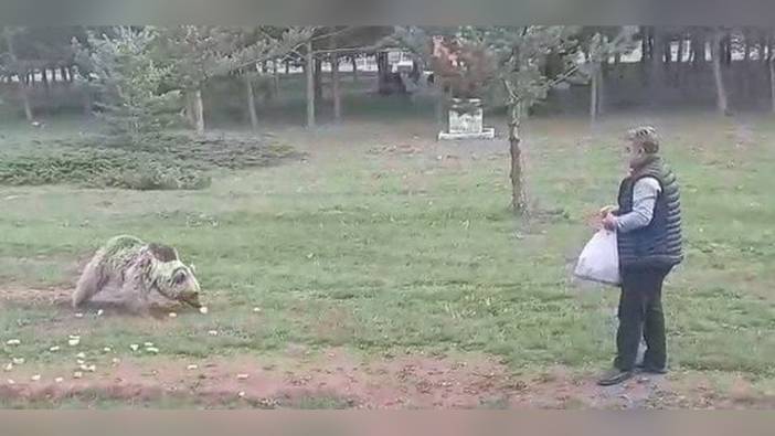 Erzincan'da sağlık personeli Serkan Kelle'den ilginç anlar: Bozayı 'Çemşit' ile dostluğu