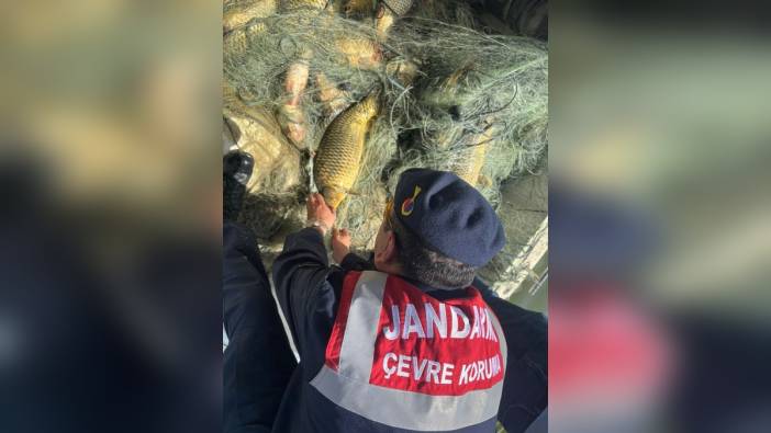 Samsun'da Altınkaya Barajı'nda ağa takılan balıklar kurtarıldı