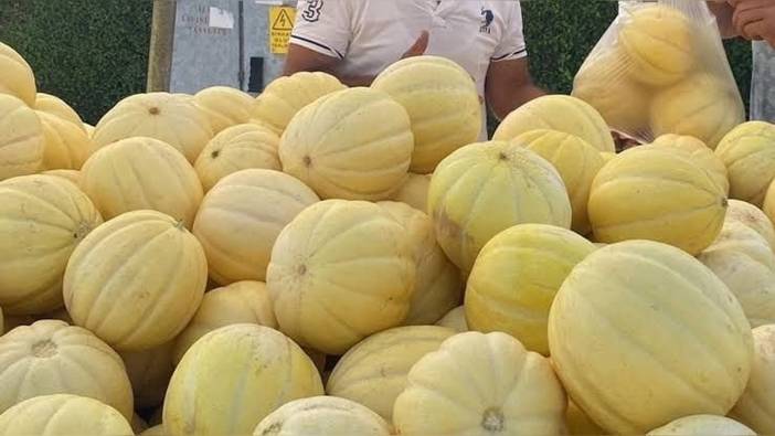 Gönen kavunu için coğrafi işaret başvurusu