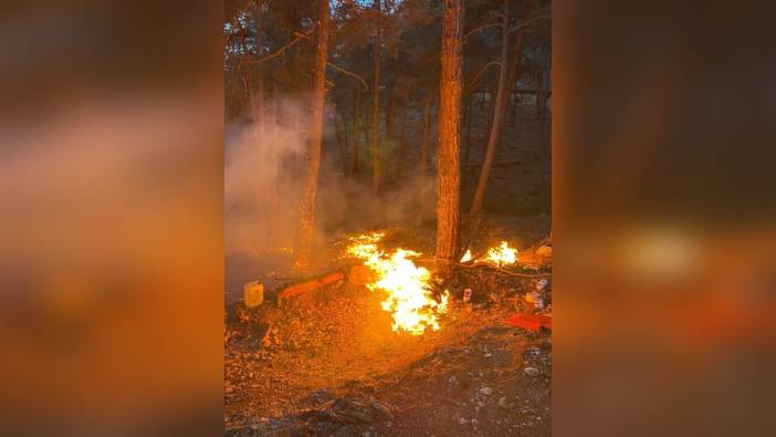 Tarsus'ta orman yangını kontrol altına alındı