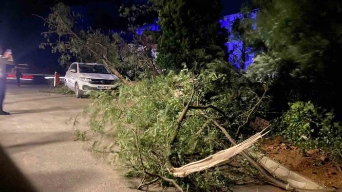 Artvin'de Fırtına: Çatılar uçtu, ağaçlar devrildi