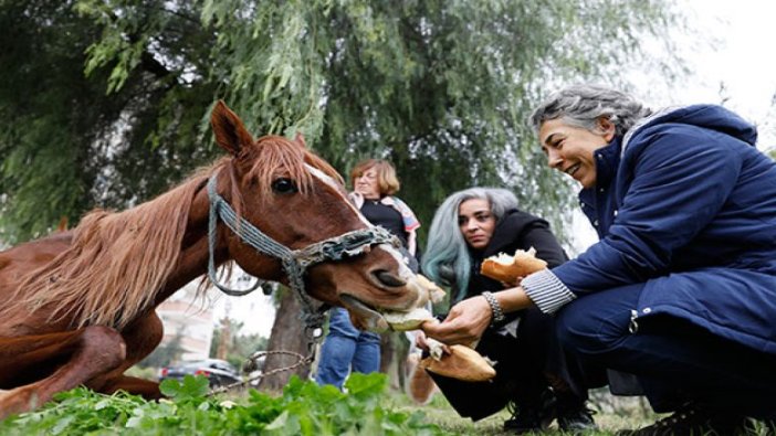 Kaderine terk edilen 'Masum'a sahip çıktılar