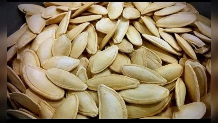 Erciyes Dağı eteklerinde kabak çekirdeği ekim sezonu başladı