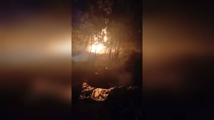 İzmir'de orman yangını: Define arayan 5 kişi tutuklandı