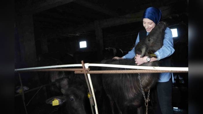 Bayburtlu Şafak Eraslan: Manda çiftliği ile başarıya ulaştı